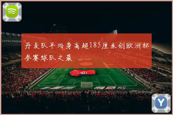 丹麦队平均身高超185厘米创欧洲杯参赛球队之最