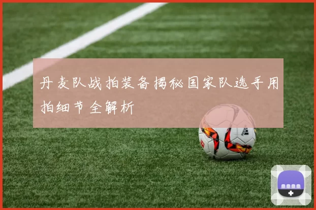 丹麦队战拍装备揭秘国家队选手用拍细节全解析