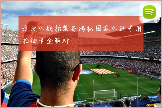 丹麦队战拍装备揭秘国家队选手用拍细节全解析
