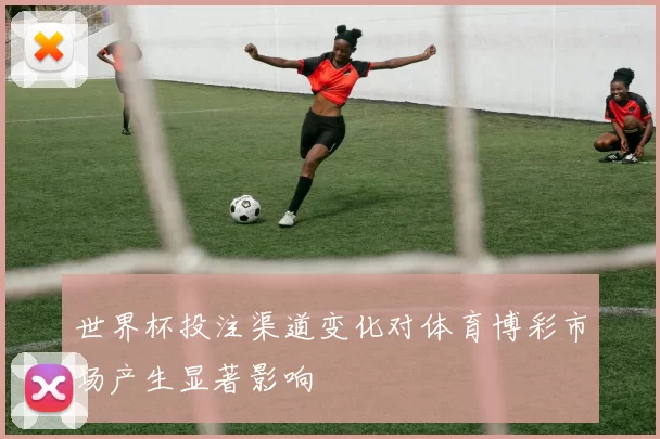 世界杯投注渠道变化对体育博彩市场产生显著影响