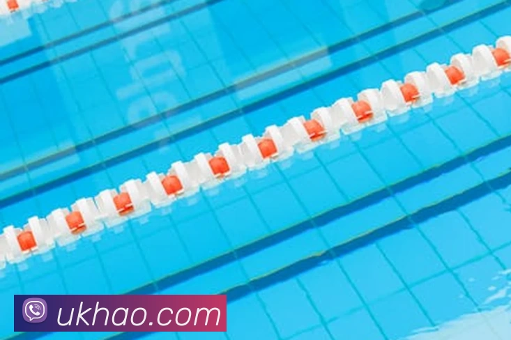 星空网官网免费入口平台生态图